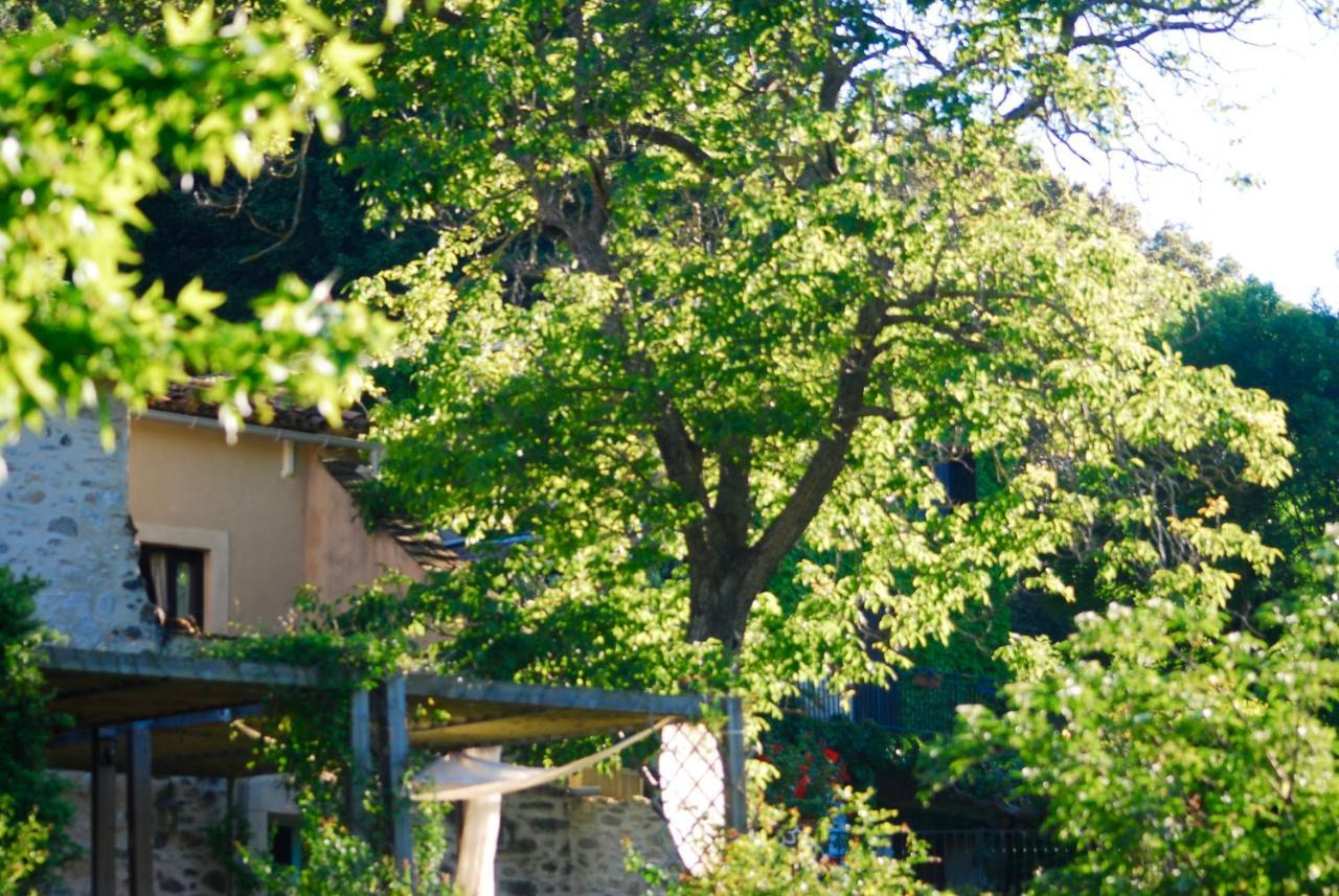 Bed and Breakfast Le Moulin d'Arcas. à Prémian Extérieur photo
